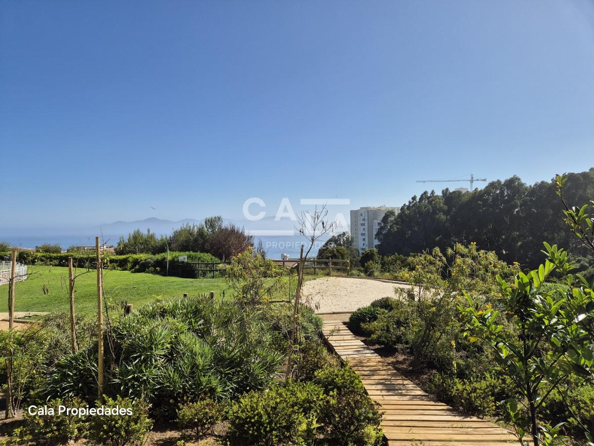 ¡Vive la combinación perfecta entre bosque y mar en Costa Quilén! 